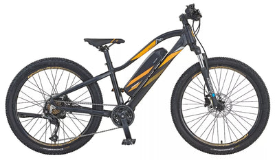 E-Bike 29" Mountainbike MTB Hardtail Elektrofahrrad City Alu RH 47cm 25km/h 50km