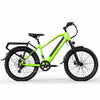 Mountain Bike 24 Inch Electric Bicycle 250W City eBike 36V 10A Pedelec E bike