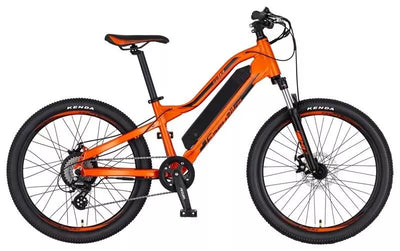 24 inch Pedelec E-mountain bike electric bicycle 36V/180W