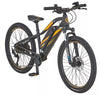 E-Bike 29" Mountainbike MTB Hardtail Elektrofahrrad City Alu RH 47cm 25km/h 50km