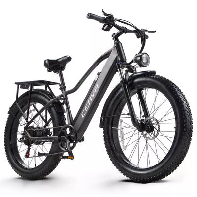 Electric bike 26 inch e-mountain bike 48V 20AH trekking ebike 1000W moped ebike