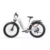 26 inch E Bike Mountain Bike 1000W Electric Bicycle eBike Women's Pedelec E-MTB 840WH