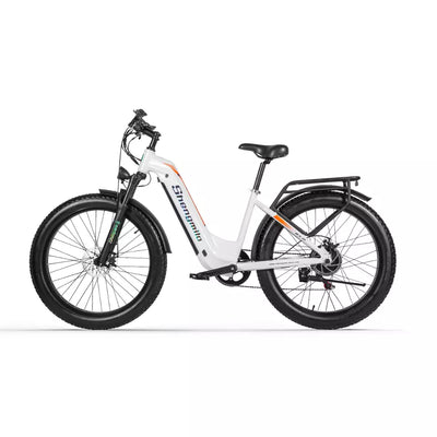 26 inch E Bike Mountain Bike 1000W Electric Bicycle eBike Women's Pedelec E-MTB 840WH