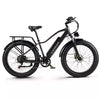 Electric bike 26 inch e-mountain bike 48V 20AH trekking ebike 1000W moped ebike