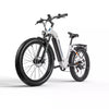 26 inch E Bike Mountain Bike 1000W Electric Bicycle eBike Women's Pedelec E-MTB 840WH