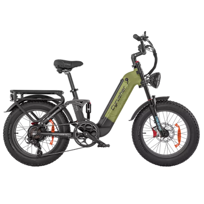 E-mountain bike 250W20inch electric bicycle 48V 20AH full suspension Ebike