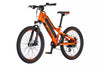 24 inch Pedelec E-mountain bike electric bicycle 36V/180W