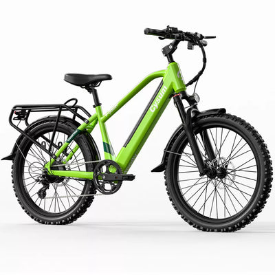 Mountain Bike 24 Inch Electric Bicycle 250W City eBike 36V 10A Pedelec E bike