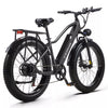 Electric bike 26 inch e-mountain bike 48V 20AH trekking ebike 1000W moped ebike