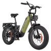 E-mountain bike 250W20inch electric bicycle 48V 20AH full suspension Ebike